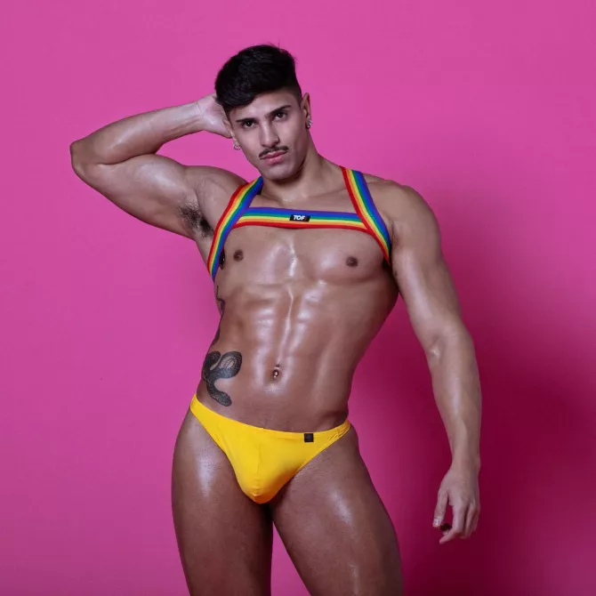 Rainbow Chest Harness