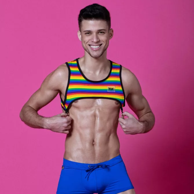 Rainbow Mens Harness