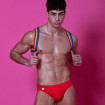 Rainbow Shoulder Harness