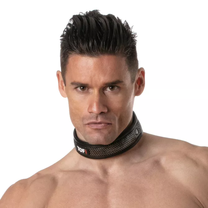 3D Collar Silver for gay men