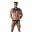 3D Snap Jockstraps Grey
