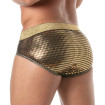 Glitter Brief Gold