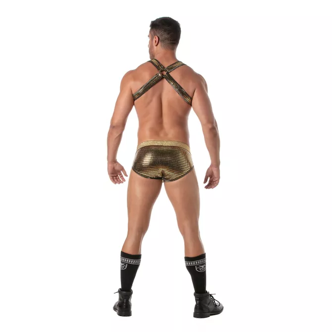 Glitter Bulldog Harness Gold