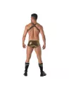 Glitter Bulldog Harness Gold