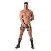 Glitter Shorty Chaps Gold