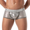 Glitter Trunk Silver