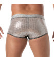 Glitter Trunk Silver