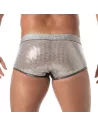 Glitter Trunk Silver