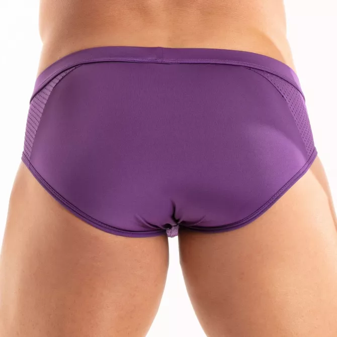 Temptation Microfiber Briefs Purple From Back