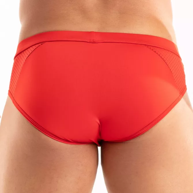 Temptation Microfiber Briefs Red From Back