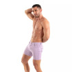 Chino Short Purple