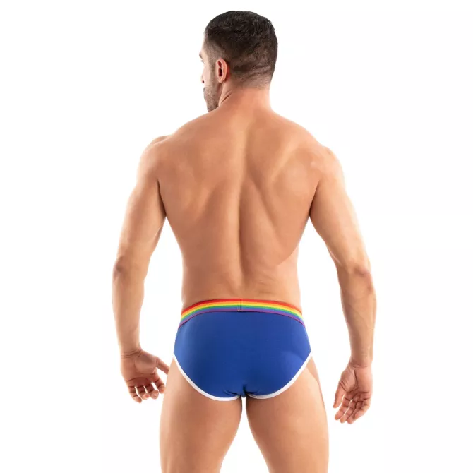 The Pride Briefs Royal Blue From Back