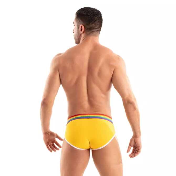 The Pride Briefs Yellow From Back