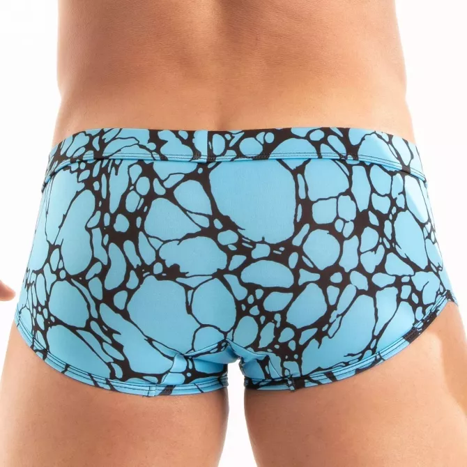 Printed Swim Trunk Blue from the back