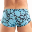 Printed Swim Trunk Blue from the back
