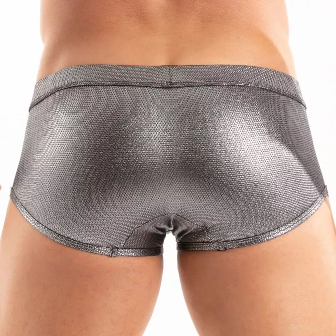 The Back Of A Metal Swim Trunk Silver
