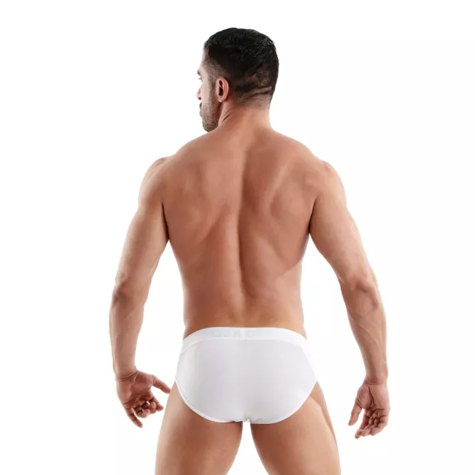 Access Briefs White
