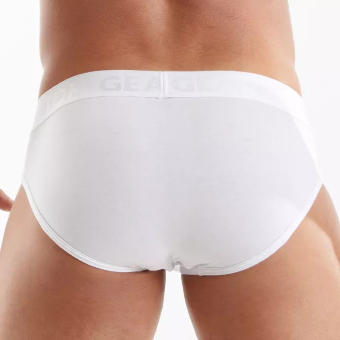 Access Briefs White