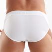Access Briefs White