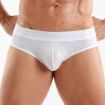 Access Briefs White