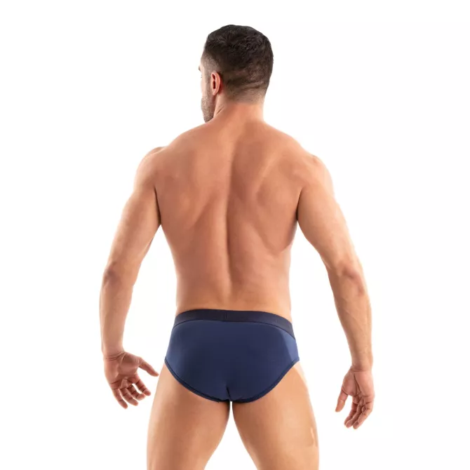 Access Briefs Navy