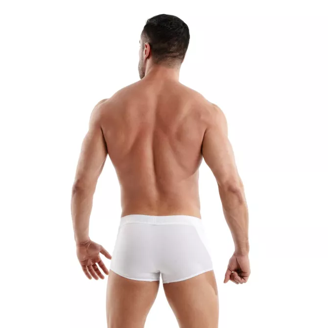 Boxer Access Blanc