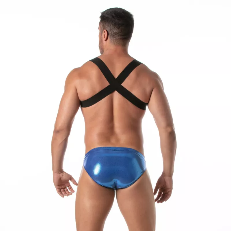The Fiesta Zipped Pocket Harness Royal Blue From Back