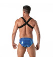 The Fiesta Zipped Pocket Harness Royal Blue From Back