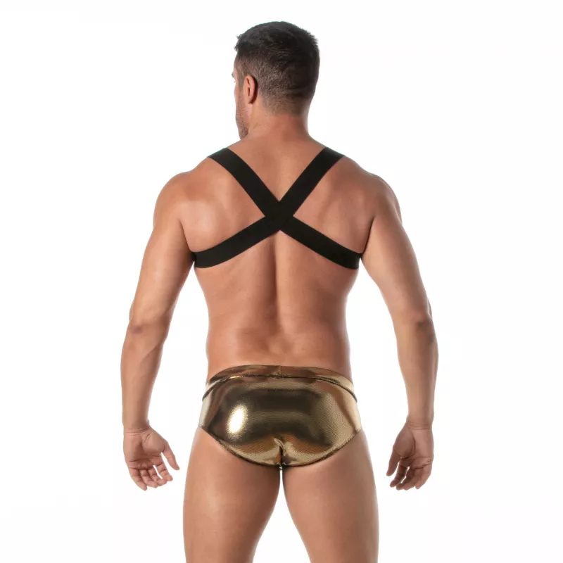 The Fiesta Zipped Pocket Harness Gold