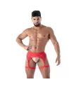The new fluid lace garter strap red