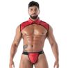 Neoprene Collar Shirt Harness Red
