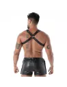 harness from the back with X