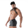 kinky harness from sideway