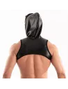 harness from the back