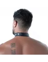collar from the back