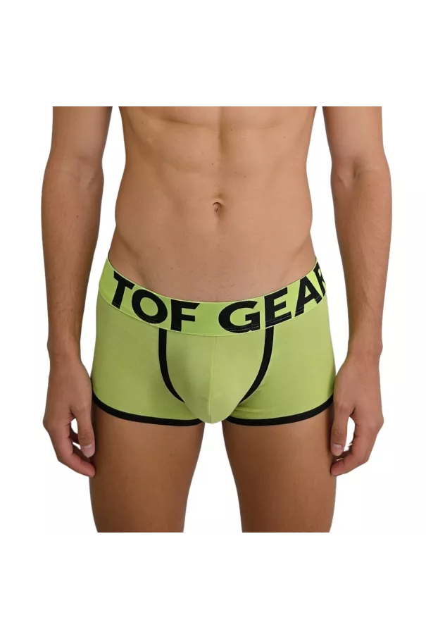 Trunk mood lime green zoom from front