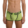 Trunk mood lime green zoom from front
