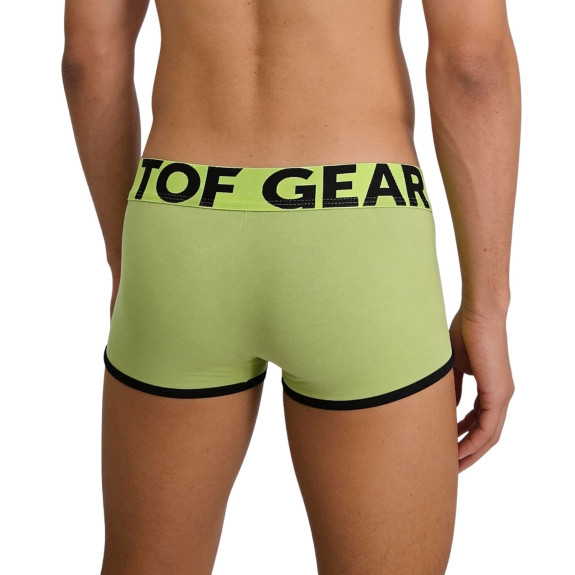 Trunk mood lime green zoom from back