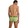Trunk mood lime green from back