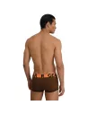 Trunk mood brown from back