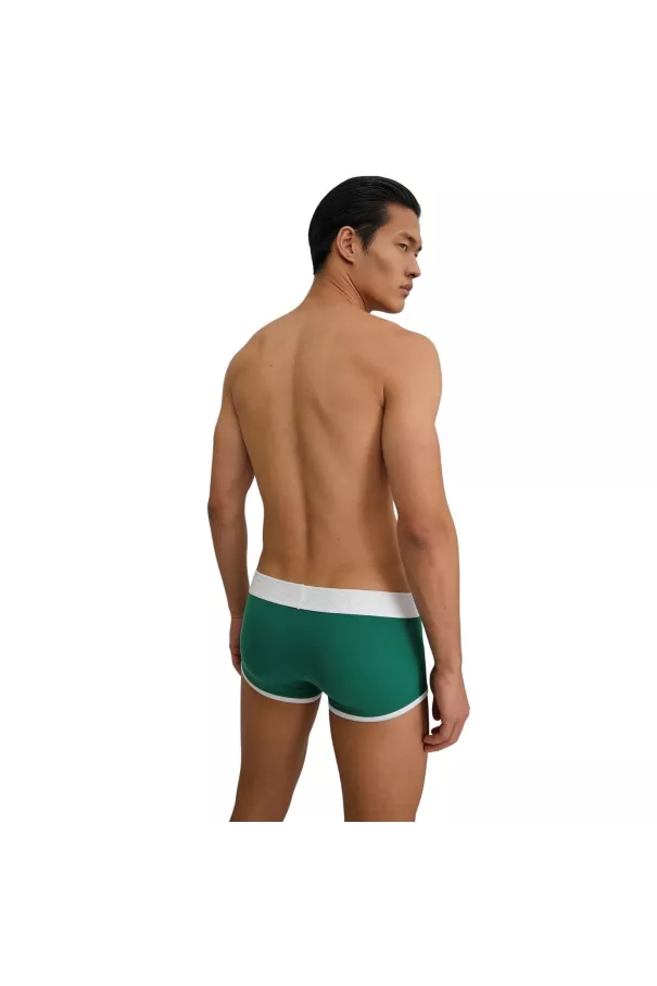 Trunk mood green from back