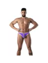 String Pride Joyful Violet