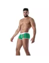 Boxer Pride Joyful Vert