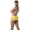 Trunk Pride Joyful Yellow