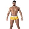 Trunk Pride Joyful Yellow