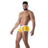 Trunk Pride Joyful Yellow