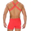 Harness - Red - Mens - Back