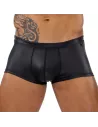 Deri boxers Brief