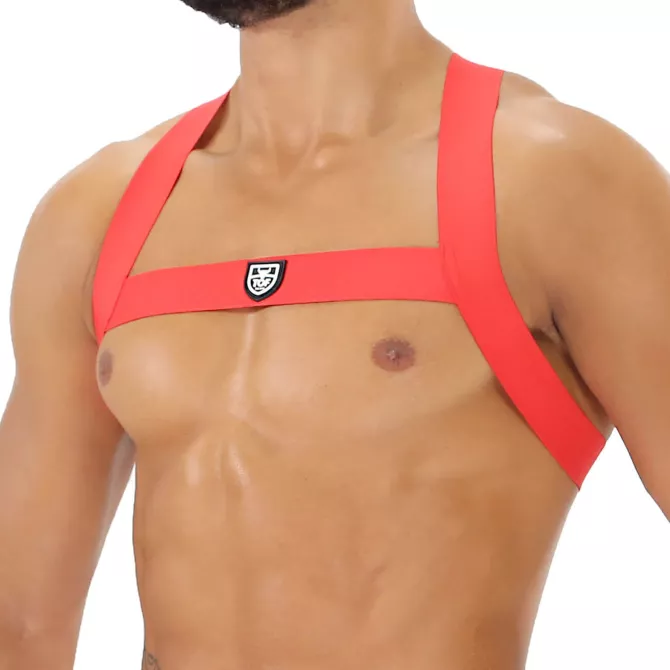 Fetish Elastic harness Red