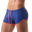 Mesh Sexy Shorts - Royal Blue
